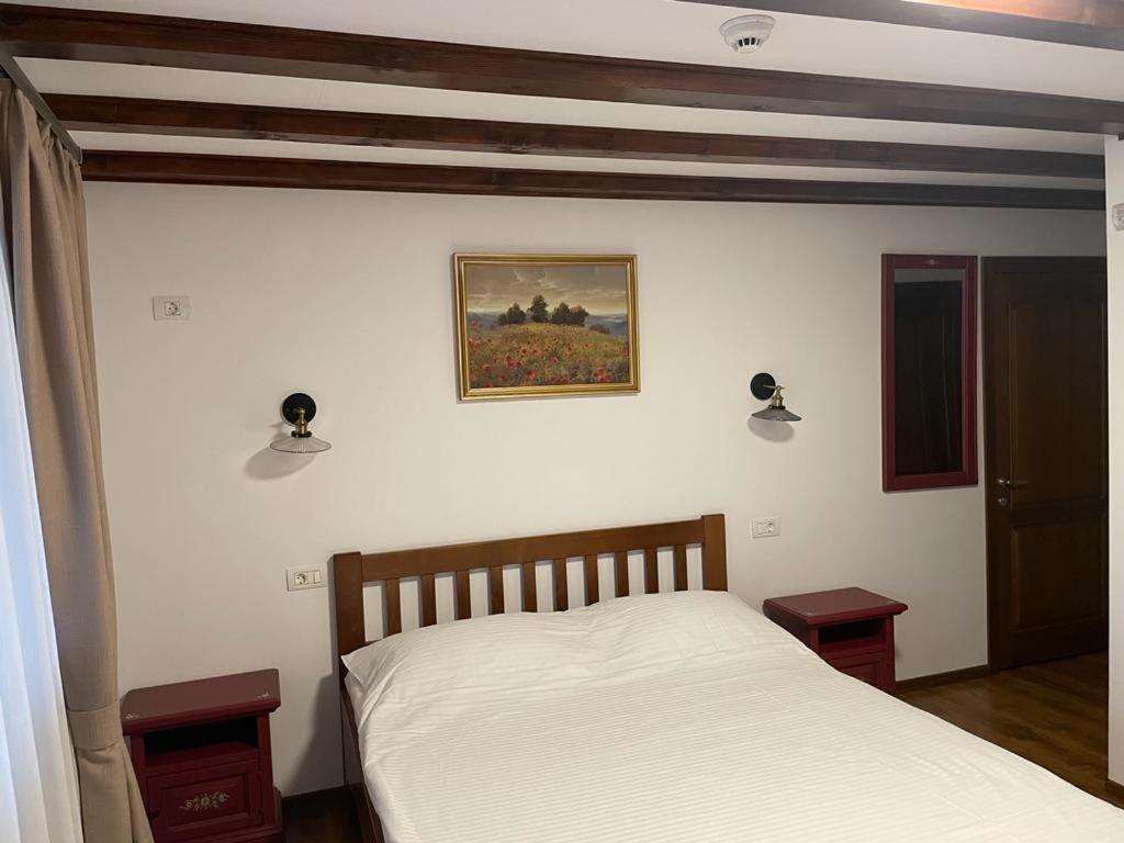Dorul Pescarului Hotel Curtea de Argeş Exterior foto