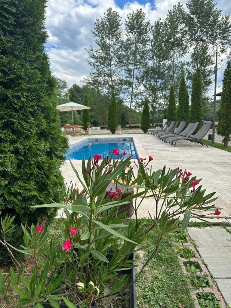 Dorul Pescarului Hotel Curtea de Argeş Exterior foto